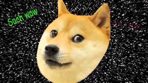 Such Wow Doge Wallpaper 1920x1080 41371