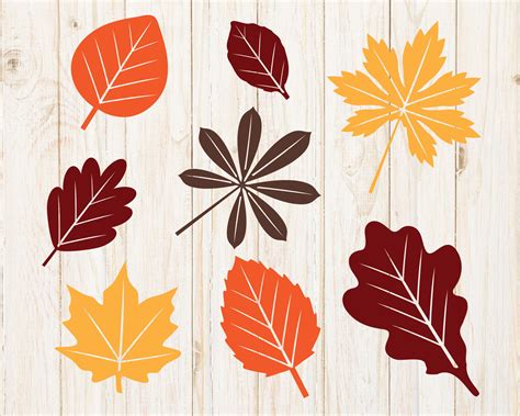 Fall Leaves Svg Autumn Leaves Svg Fall Svg Cut File For Etsy