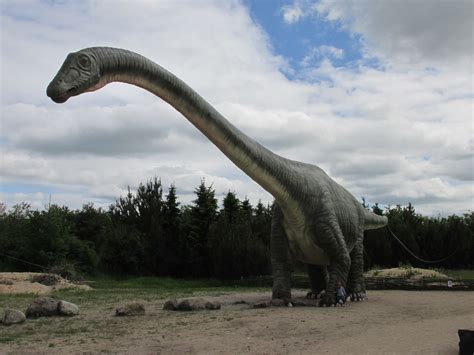 The Argentinosaurus Largest Of All Known Dinosaurs Photo