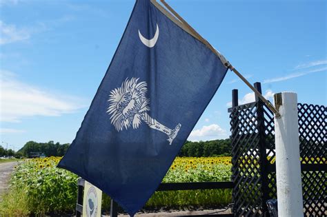 Do You Know The History Of The South Carolina State Flag Andrea Beam