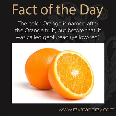 Two Oranges With The Words Fact Of The Day