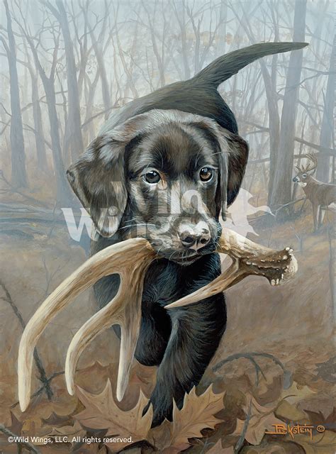 Larry Beckstein Original Acrylic Painting Finders Keepers Black Lab