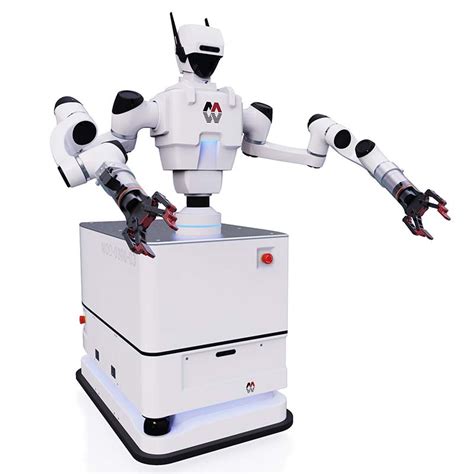 Omnidirektional Doppelarmig Mobiler Kollaborativer Roboter Mit Hoher