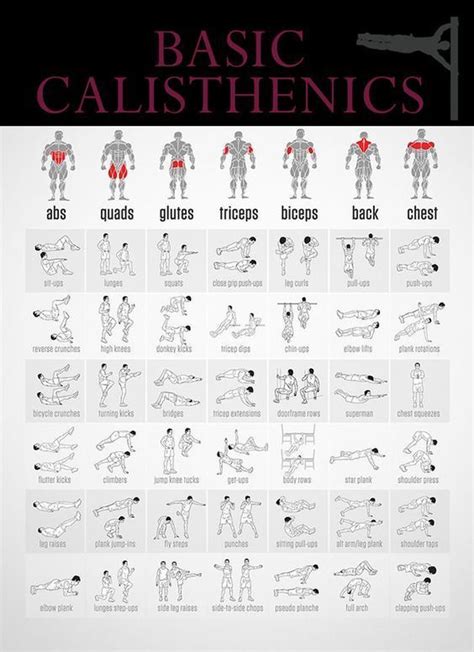 Calisthenics Are A Form Of Exercise To Increase Body Strength Body