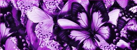 Purple Butterflies~ Facebook Cover Photos Twitter Cover Photo Cover