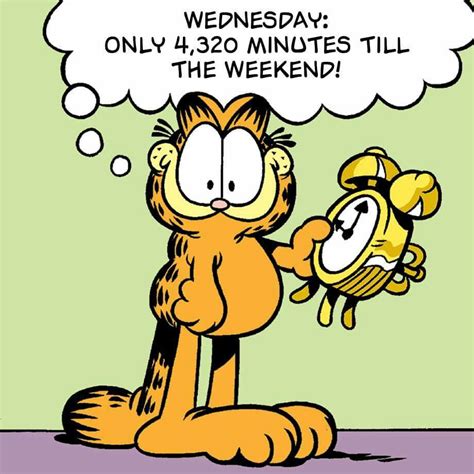 Pin By Dittke007 On Garfield Morning Quotes Funny Funny Good Morning