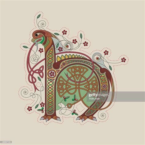Colorful Celtic Illumination Of The Initial Leter H High Res Vector