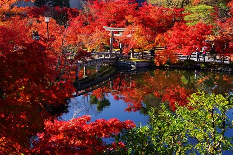 eikando_temple_autumn_colors_kyoto | Kyuhoshi