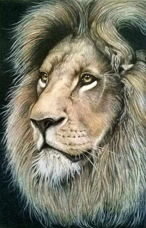 Realistic black and white drawing. Kgosi | Realistic drawings, Color pencil drawing, Animal ...