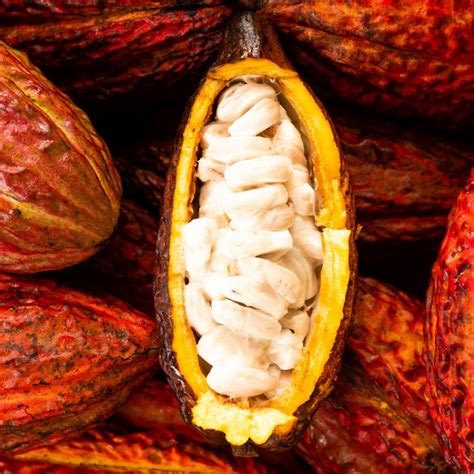 Cacao Pod Chocolate Fruit Tropical Fruit Delivery Iheartfruitbox