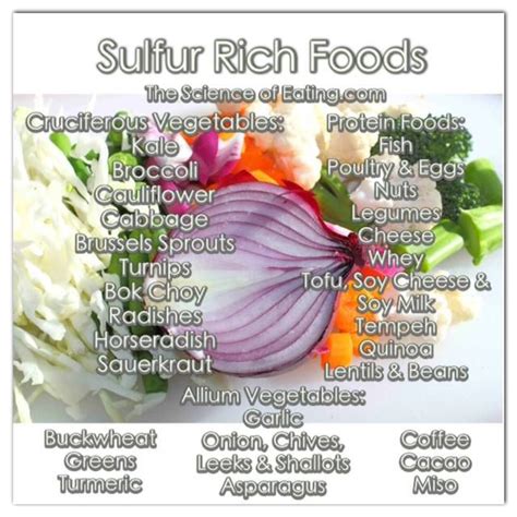Sulfur Rich Foods Sincere Focus