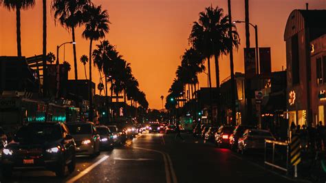 Lights Sunset Building Palm Trees Los Angeles City Street