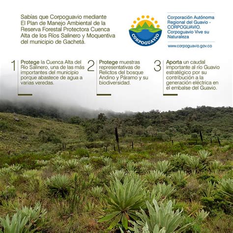 Plan De Manejo Ambiental De La Reserva Forestal Protectora Flickr