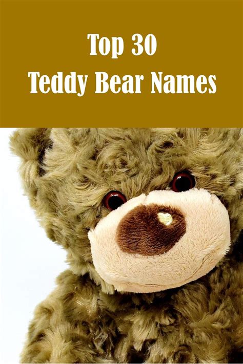 101 Cute Teddy Bear Names For Soft Toys Teddies And Plushies Artofit