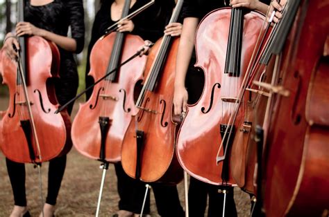 Free Stock Photo Of Bowed Stringed Instrument Cello Cellos