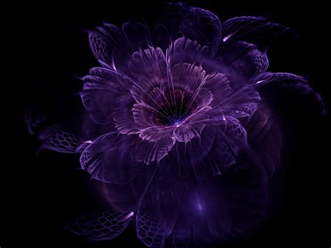 Abstract Fractal Black Background Fractal Flowers Wallpapers Hd