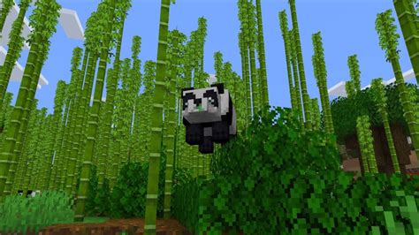 How To Tame A Panda In Minecraft Bamboo And Love Increase Gaming