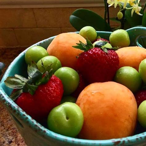 My lion is crazy about fruits. How is your memorial day weekend going? What have you been eating whole weekend? I doubled on my ...