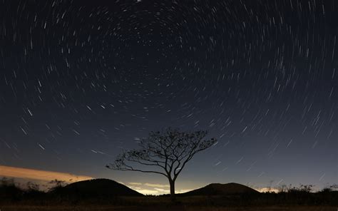 2880x1800 Resolution Stars And Trees In Starry Night Macbook Pro Retina
