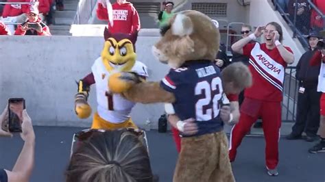 Arizona Arizona State Mascots Get Into Fight Sparky Beats Wilbur Youtube