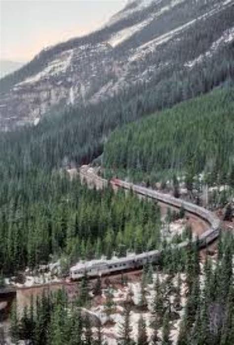 Kicking Horse Pass Alberta Canada Top Attractions Things To Do