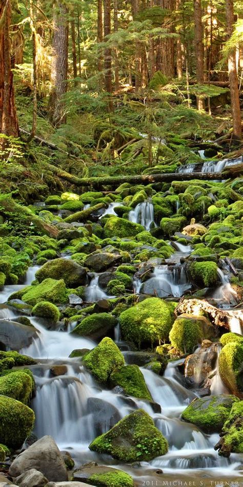 Mossy Creek Along Sol Duc Falls Trail Olympic National Park Flickr