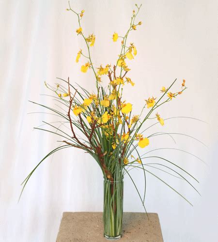 A Bud Vase Of Orchid Gold 7 Stems Of Oncidium Orchids In A Fuller Display And A Slightly