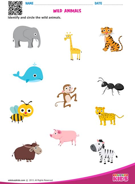 Worksheet On Wild Animals For Grade 1 Useful For Kids To Identify The