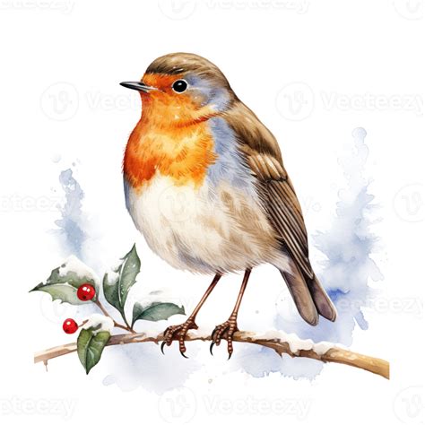 Robin Bird For Christmas Event Watercolor Style Ai Generated 34097764 Png