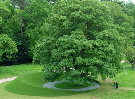 Landscape design projects in different scales and sectors can be easily provided by lands design. Limelight by Meyer Studio Landscape Architects « Landscape ...