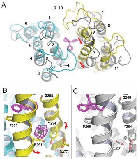 Cation Induced Conformational Changes In Norm Ng A Structural