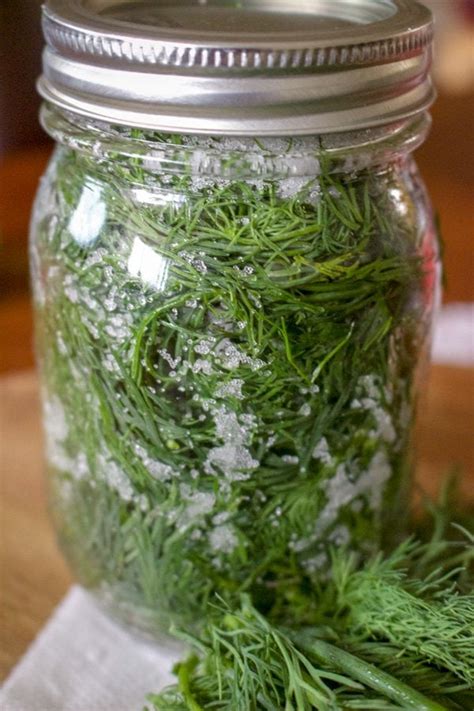 Whether you are a plant collector or just looking for a nice decoration for your home, you can preserve ferns and other leaves easily by drying them. How To Salt Preserve Herbs For Winter
