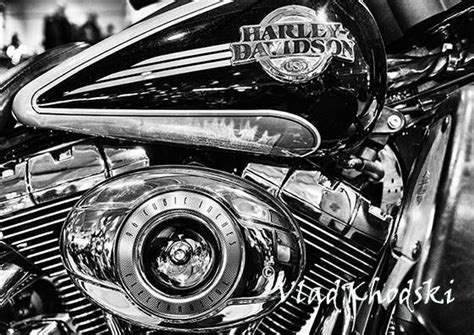 Harley S Beauty Black And White Photograph Fine Art Print Motorbike Harley Davidson