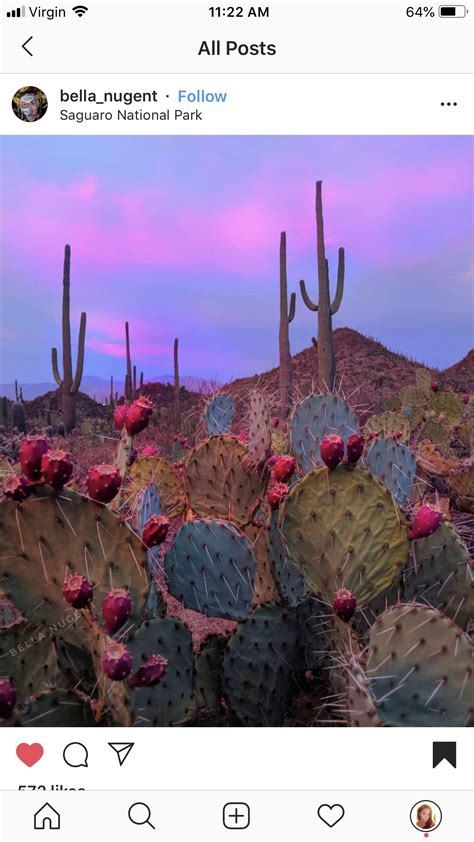 Cactus embroidery | Desert sunset, Pink sky, Pink desert