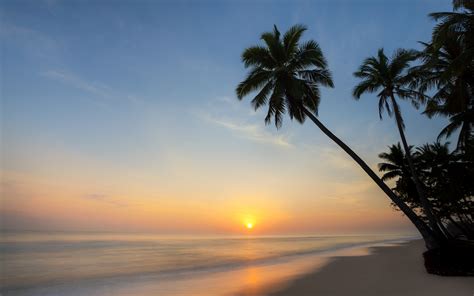 Download Wallpapers Tropical Island Sunset Palm Evening