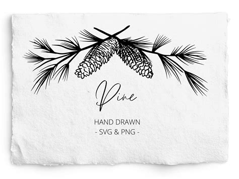 Pine Branch Frame Svg Pine Bough Svg And Png Pine Cone Etsy Canada