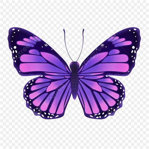 Purple Butterflies White Transparent, Purple Butterfly Png Material