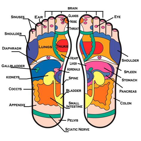 Selipar refleksologi keluaran as legacy ini menggunakan batu sebenar untuk mengurangkan sakit2 dan lenguh2 kaki ke. Coretan Si Monyet gidong: REFLEXOLOGY baik untuk terus ...