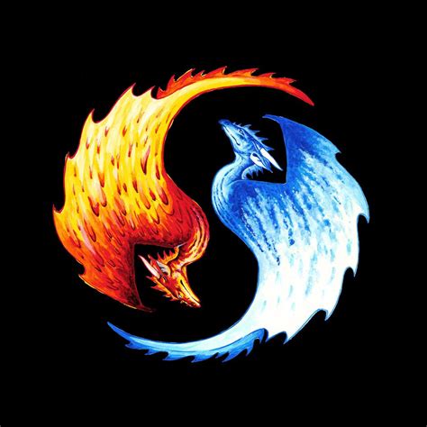 Yin Yang Dragon T Shirts Fire And Ice Dragons Yin Yang Art Ice Dragon