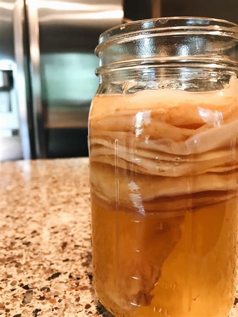 What if i crush the scooby with grinder and put in to small containers for making new scooby with tea. My scoby hotel keeps growing! : Kombucha
