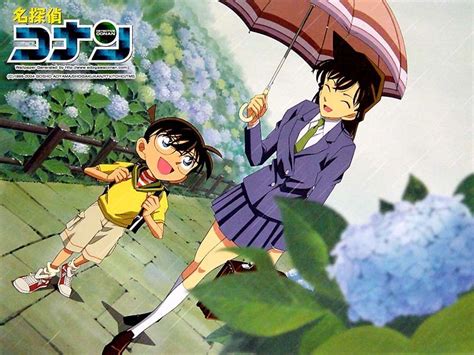 Ran And Conan Shinichi Kudo And Ran Mouri Wallpaper 27859092 Fanpop