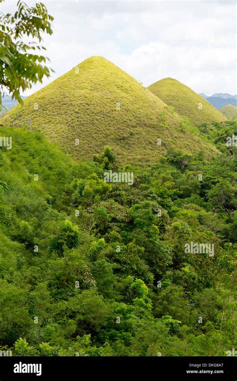 Chocolate Hills Bohol Philippines Asia Stock Photo Alamy