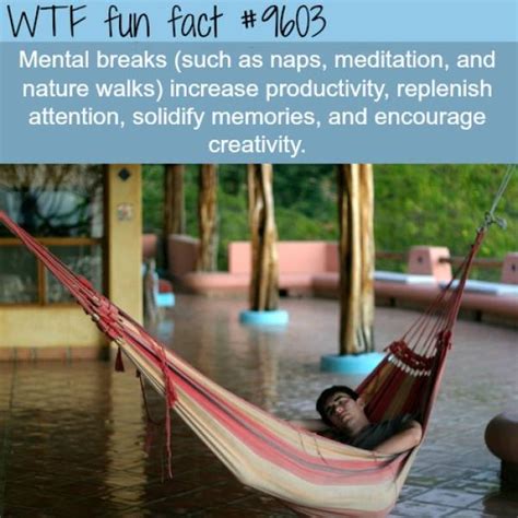 Another Selection Of Interesting Facts 30 Pics