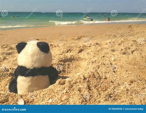 Panda On The Beach Stock Photo Image Of Watching People 59644558