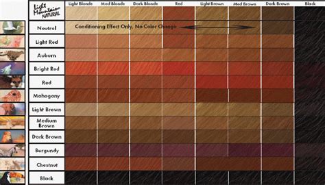 How To Choose The Best Hair Colour From Hair Colour Charts Neutral Hair Color Chart Model