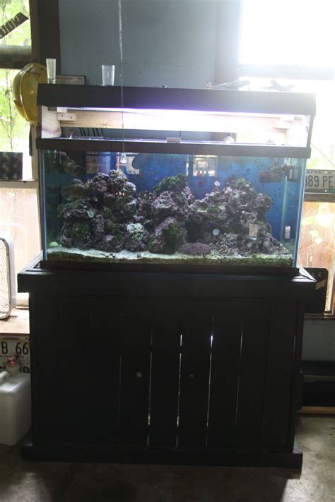 Complete 90 Gallon Reef Tank Complete Systems Austin Reef Club
