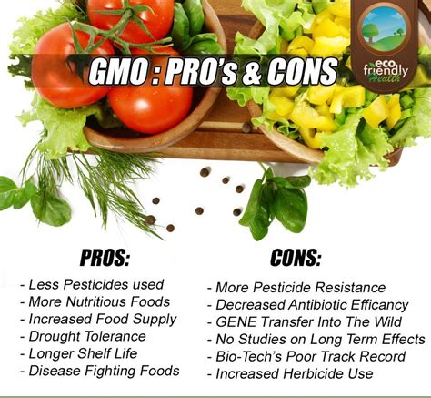 Gmos Pros And Cons Genetically Modified Food Gmo Foods Nutritious Meals
