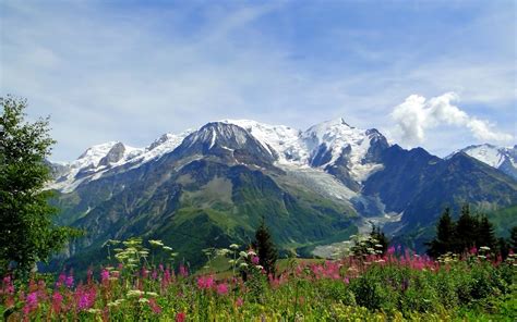 Mont Blanc Monte Blanco Los Alpes De Europa Fotos E Imágenes En