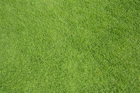 Grass Texture Background