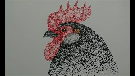 How To Draw A Rooster Dot By Dot Pointillism Timelapse Youtube